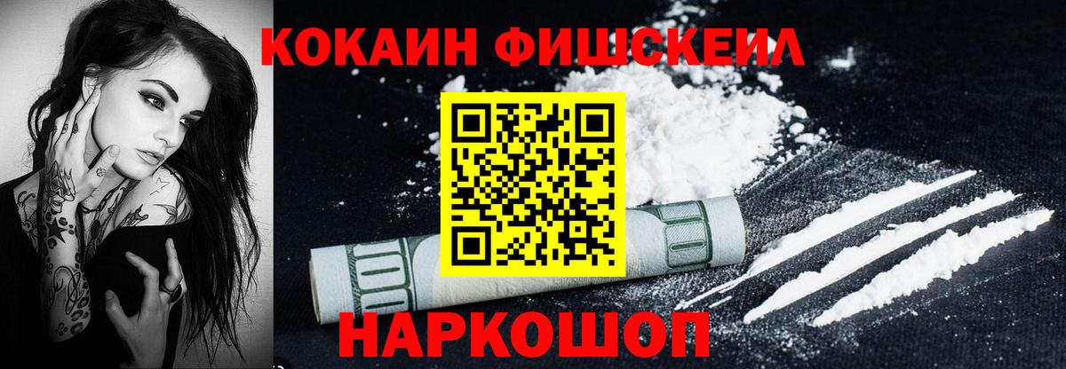 Cocaine FishScale  Cocaine  купить закладку  Касимов  Кокаин Fish Scale 