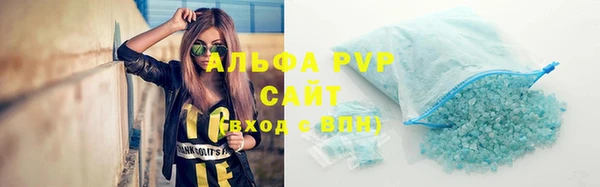 индика Михайлов