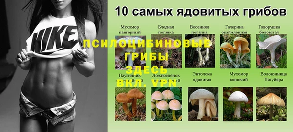 a pvp Надым