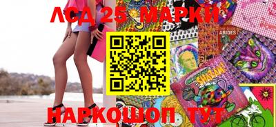 спиды Волгодонск