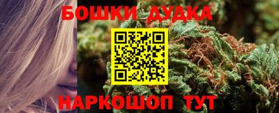 сатива Дубна