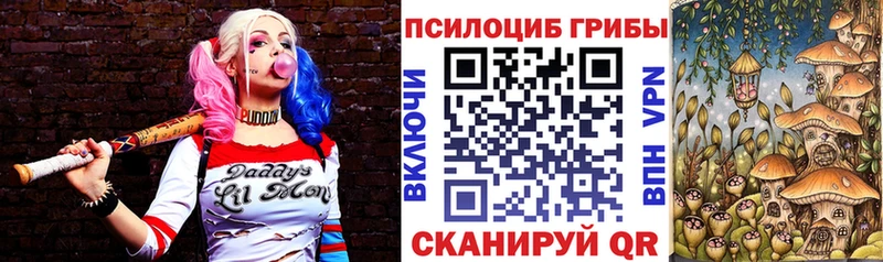 KRAKEN ссылки Касимов Галлюциногенные грибы Psilocybe наркотики