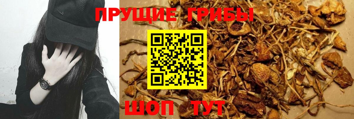наркошоп  Галлюциногенные грибы Cubensis  Вход с VPN  Касимов  Галлюциногенные грибы Magic Shrooms 