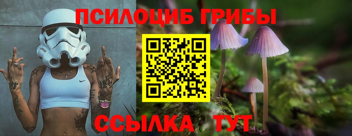 Галлюциногенные грибы мицелий Касимов